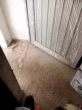 13elvergon online show from 1, 10, 2025