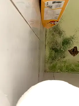 Bin77 online show from 17, 12, 2025