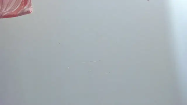 Snapshot of violet_taylor_ chatting on 16, 7, 2026 violet taylor online show from 16, 7, 2026