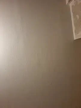 gazb90 online show from 12, 11, 2025