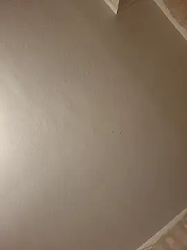 gazb90 online show from 9, 4, 2026