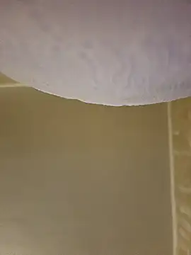 gazb90 online show from 8, 2, 2026