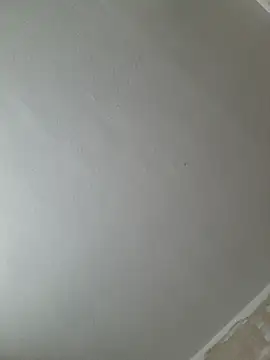 gazb90 online show from 10, 4, 2026