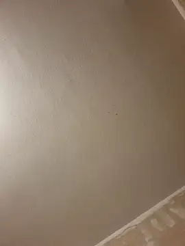 gazb90 online show from 14, 1, 2026