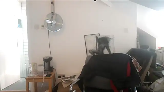 mista sista fista online show from 19, 9, 2025