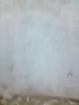 sia 143 online show from 9, 10, 2025