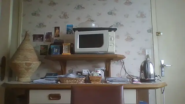 gegevincent online show from 18, 1, 2026