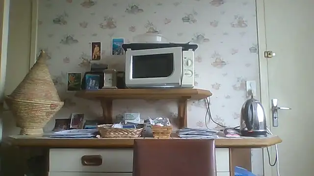 gegevincent online show from 29, 11, 2025