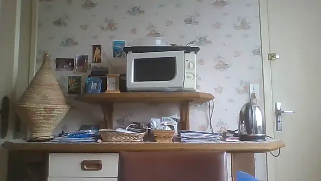 gegevincent online show from 17, 2, 2026