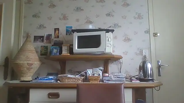 gegevincent online show from 20, 2, 2026