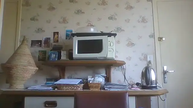 gegevincent online show from 4, 4, 2026