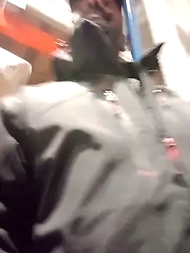 Snapshot of frenchblackc31 chatting on 2, 12, 2025 frenchblackc31 online show from 2, 12, 2025