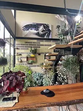 Rose-andres online show from 29, 11, 2025