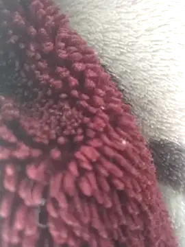 yaraa49 online show from 16, 12, 2025