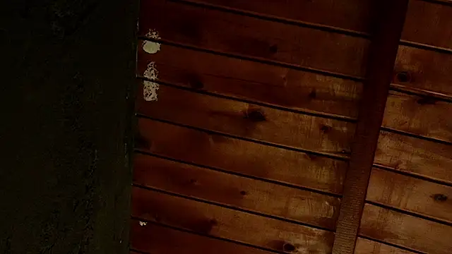 Snapshot of Taurito___ chatting on 28, 11, 2025 Taurito online show from 28, 11, 2025