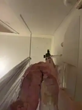 babykalirose online show from 19, 3, 2026