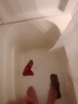 helldonk online show from 5, 2, 2026