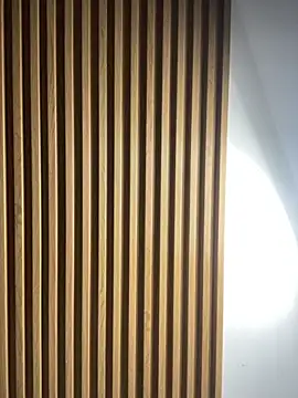 Scaarlettfox online show from 3, 11, 2025