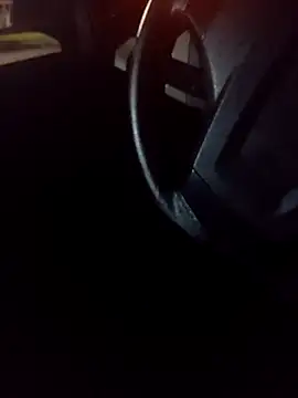 pauzudao 12 online show from 4, 3, 2026