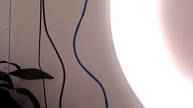 Snapshot of saara_johnson496 chatting on 24, 9, 2025 saara johnson496 online show from 24, 9, 2025