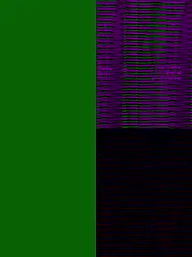 xneko  online show from 22, 12, 2025