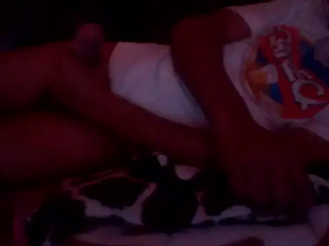 PREDADOR76 online show from 24, 9, 2025