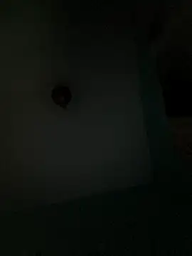 Snapshot of Villageanuty chatting on 26, 2, 2026 Villageanuty online show from 26, 2, 2026