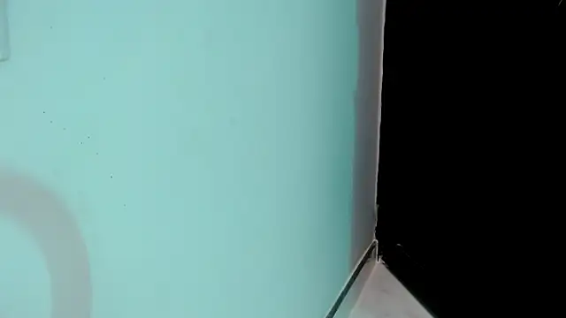 eladyrous98 online show from 22, 11, 2025