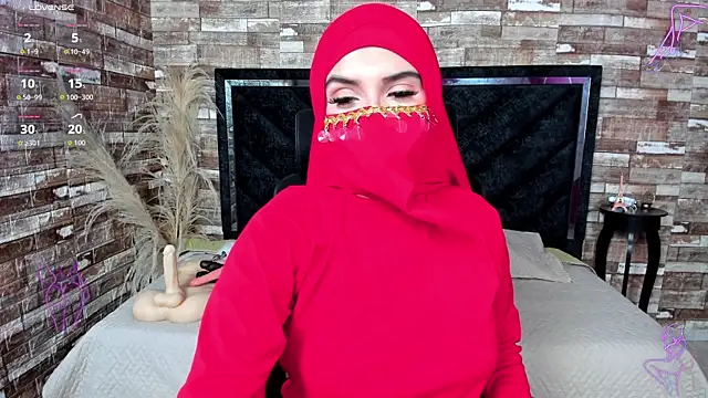 malek zark2 online show from 14, 11, 2025