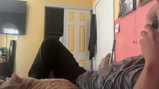 kSwisssxxx online show from 26, 10, 2025