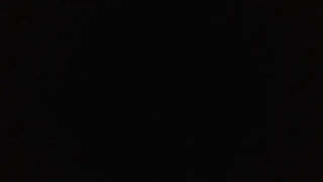 SharkedTaxis online show from 6, 3, 2026