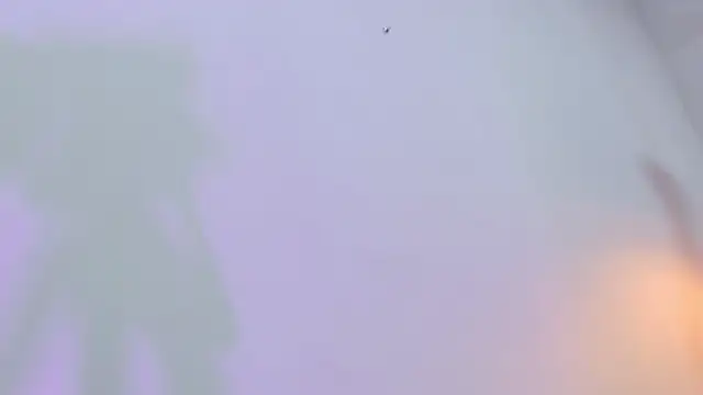 eimy skinny  online show from 12, 2, 2026