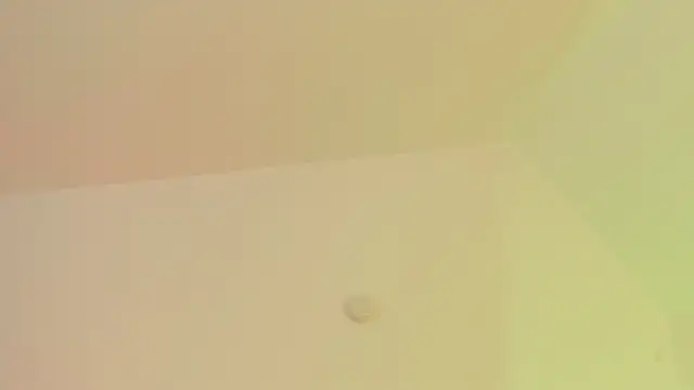 Taylormaxwell online show from 28, 11, 2025