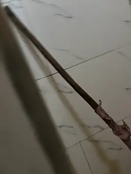 pussy hunter0 online show from 15, 5, 2026