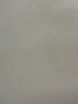 Cute-Sakhi online show from 15, 12, 2025