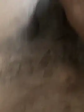 delhi gigolo 5in online show from 12, 2, 2026