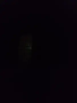 silvaa89 online show from 2, 12, 2025