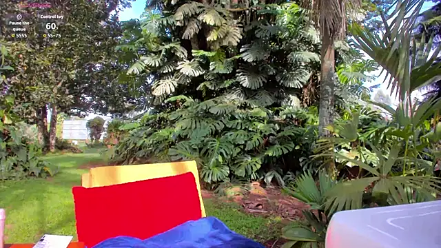 Snapshot of Angiehuston1 chatting on 5, 2, 2026 Angiehuston1 online show from 5, 2, 2026