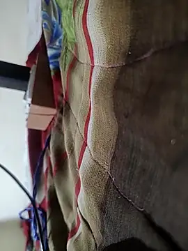 Snapshot of Telugu_person12 chatting on 16, 2, 2026 Telugu person12 online show from 16, 2, 2026