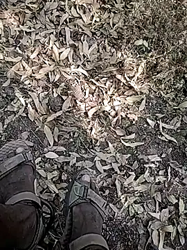 Telugu person12 online show from 7, 1, 2026