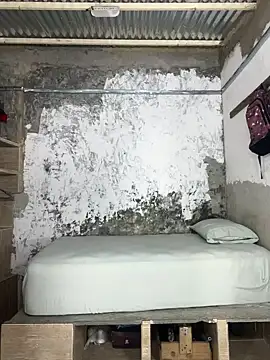 ikaro21 online show from 25, 2, 2026