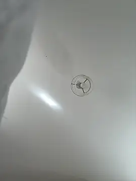 Desire-XOXOX online show from 25, 9, 2025