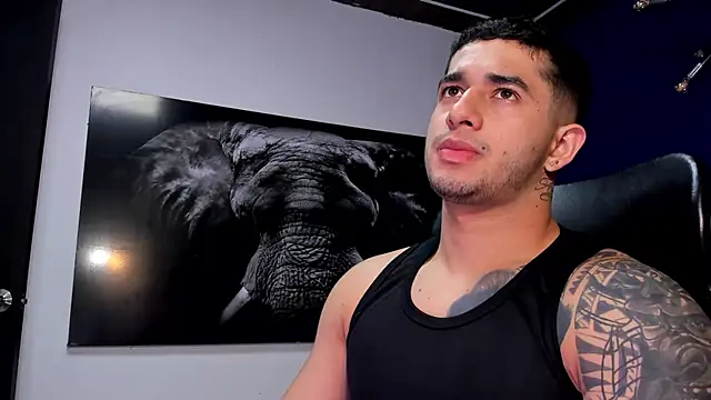 king falconer online show from 16, 12, 2025