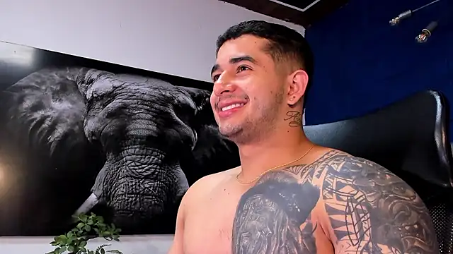 king falconer online show from 13, 1, 2026