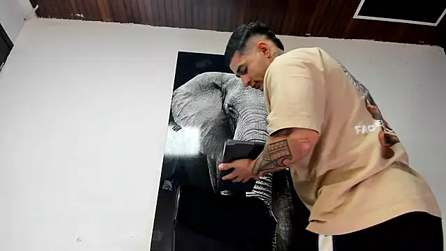 king falconer online show from 25, 10, 2025