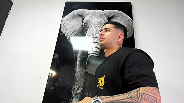 king falconer online show from 26, 10, 2025