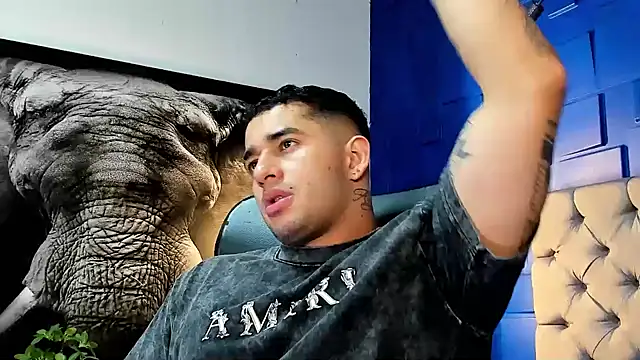 king falconer online show from 25, 11, 2025