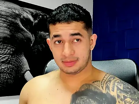 king falconer online show from 3, 12, 2025