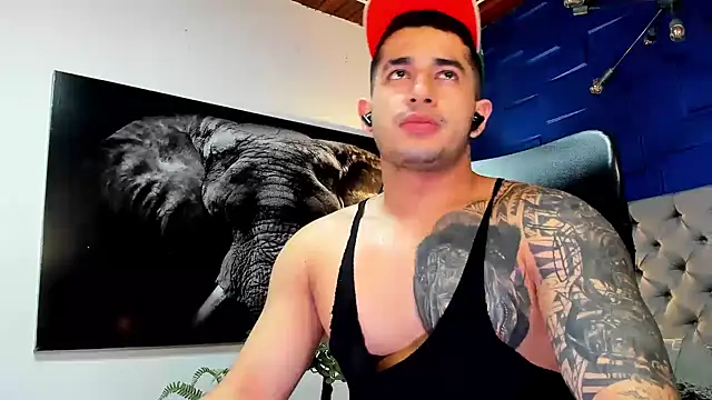 king falconer online show from 28, 11, 2025