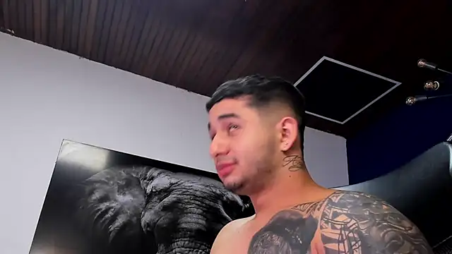 king falconer online show from 17, 12, 2025